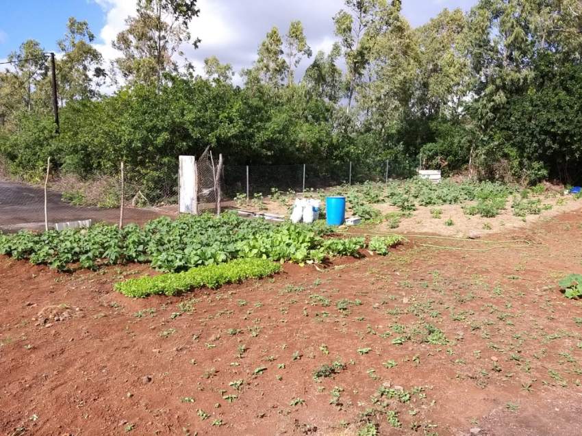 Residential land  - 1 - Land  on Aster Vender