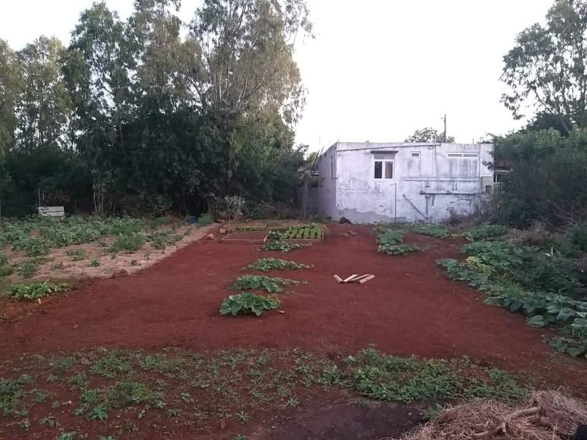 Residential land  - 2 - Land  on Aster Vender