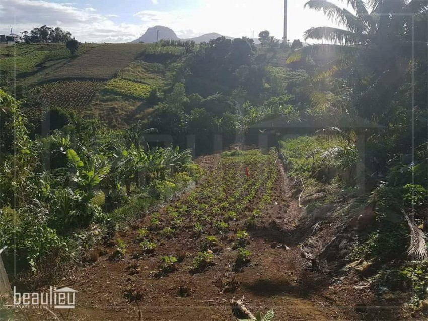 ** 24 Perches Residential land in Congomah* *     - 2 - Land  on Aster Vender