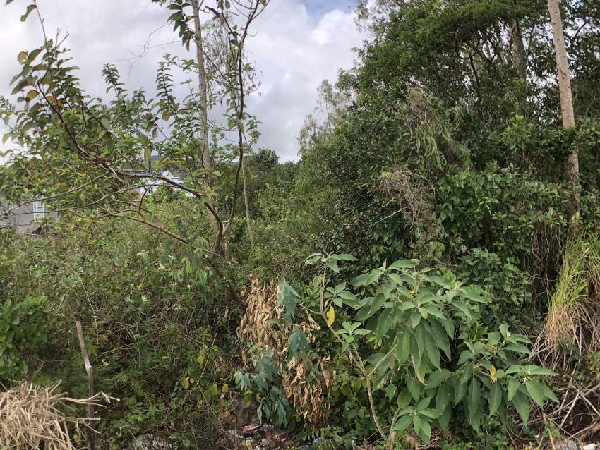 Terrain Résidentiel 17 perches - Camp de Masque Pavé - 5 - Land  on Aster Vender