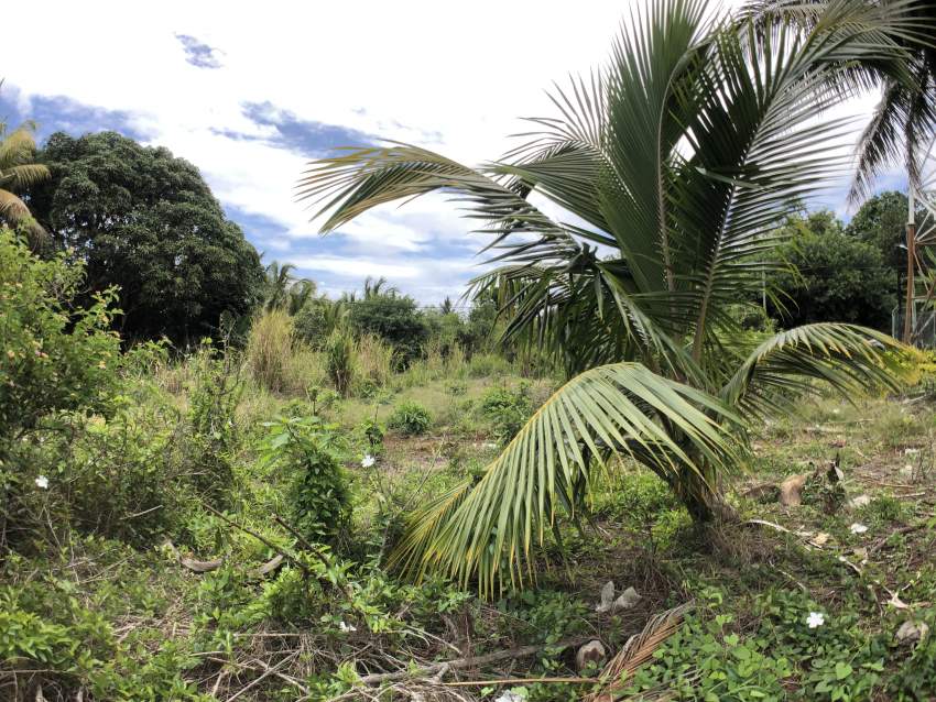 TERRAIN RÉSIDENTIEL - 25.33 PERCHES - Laventure Flacq - 2 - Land  on Aster Vender