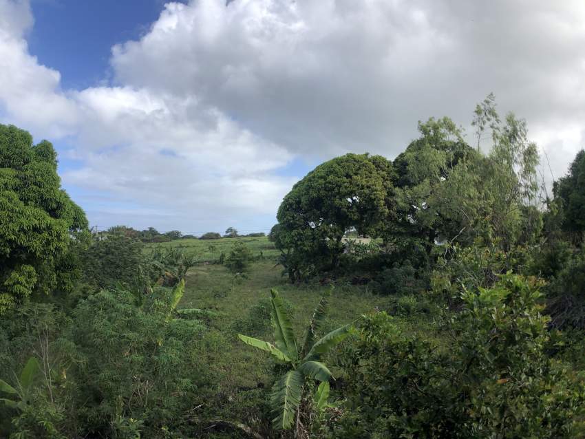 TERRAIN RÉSIDENTIEL - 47 PERCHES - POSTE DE FLACQ - 4 - Land  on Aster Vender