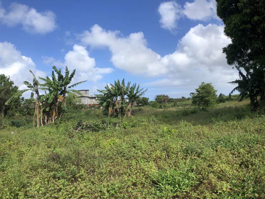 TERRAIN RÉSIDENTIEL - 47 PERCHES - POSTE DE FLACQ - 1 - Land  on Aster Vender