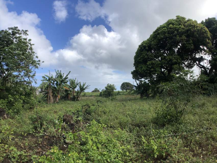 TERRAIN RÉSIDENTIEL - 47 PERCHES - POSTE DE FLACQ - 2 - Land  on Aster Vender