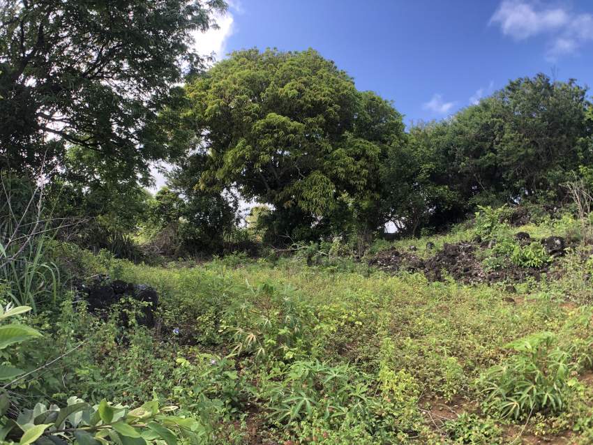 TERRAIN RÉSIDENTIEL - 47 PERCHES - POSTE DE FLACQ - 3 - Land  on Aster Vender