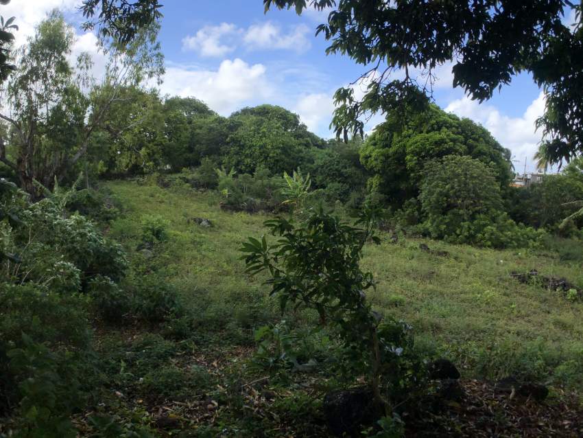 TERRAIN RÉSIDENTIEL - 47 PERCHES - POSTE DE FLACQ - 6 - Land  on Aster Vender