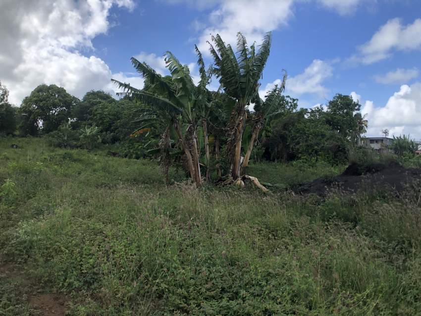 TERRAIN RÉSIDENTIEL - 47 PERCHES - POSTE DE FLACQ - 7 - Land  on Aster Vender