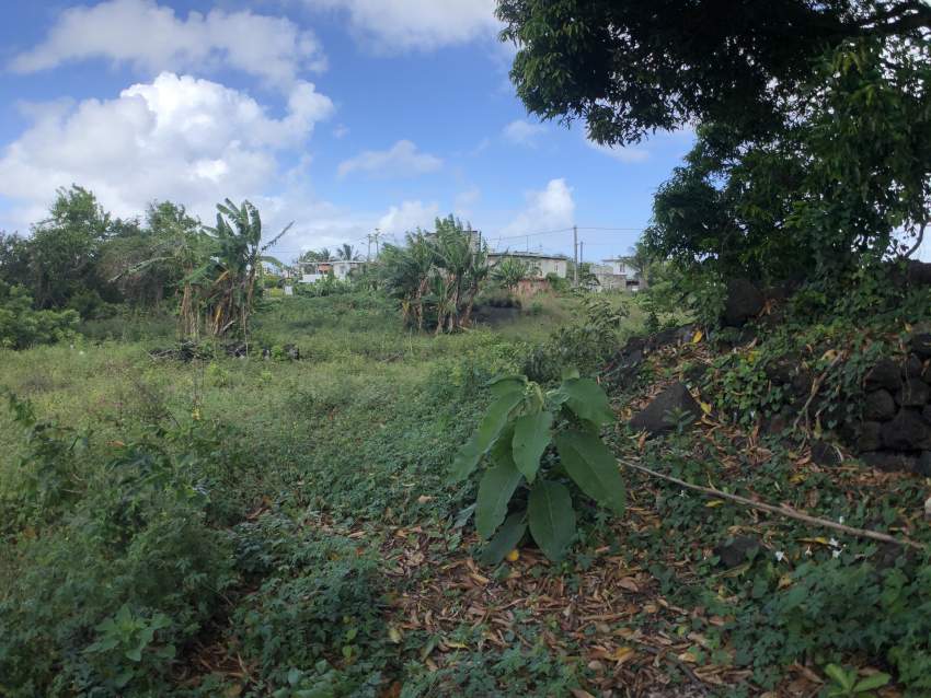 TERRAIN RÉSIDENTIEL - 47 PERCHES - POSTE DE FLACQ - 5 - Land  on Aster Vender