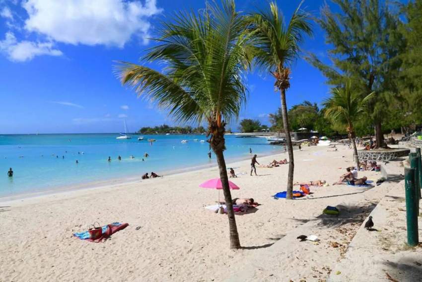 Villa - Pereybere - 3 chambres - 57506031 - 4 - Villas  on Aster Vender