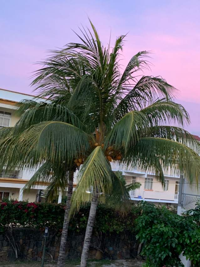 ESCALE VACANCES(bungalow next to the beach with swimming pool) - 8 - Apartments  on Aster Vender