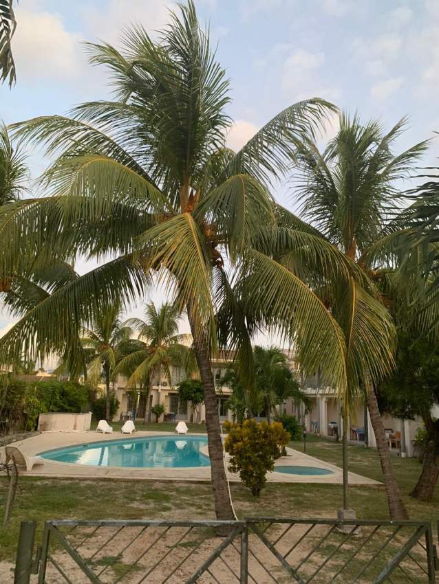 ESCALE VACANCES(bungalow next to the beach with swimming pool) - 3 - Apartments  on Aster Vender