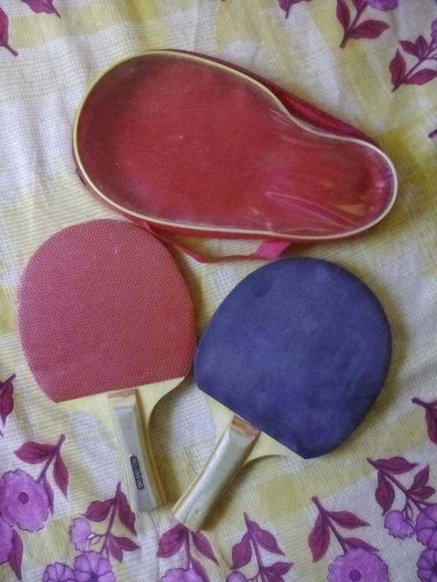 Table Tennis Bats - 0 - Table Tennis  on Aster Vender