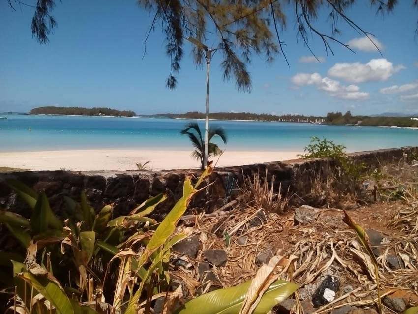 Blue bay Terain pieds dans l'eau toute propriete - 0 - Land  on Aster Vender