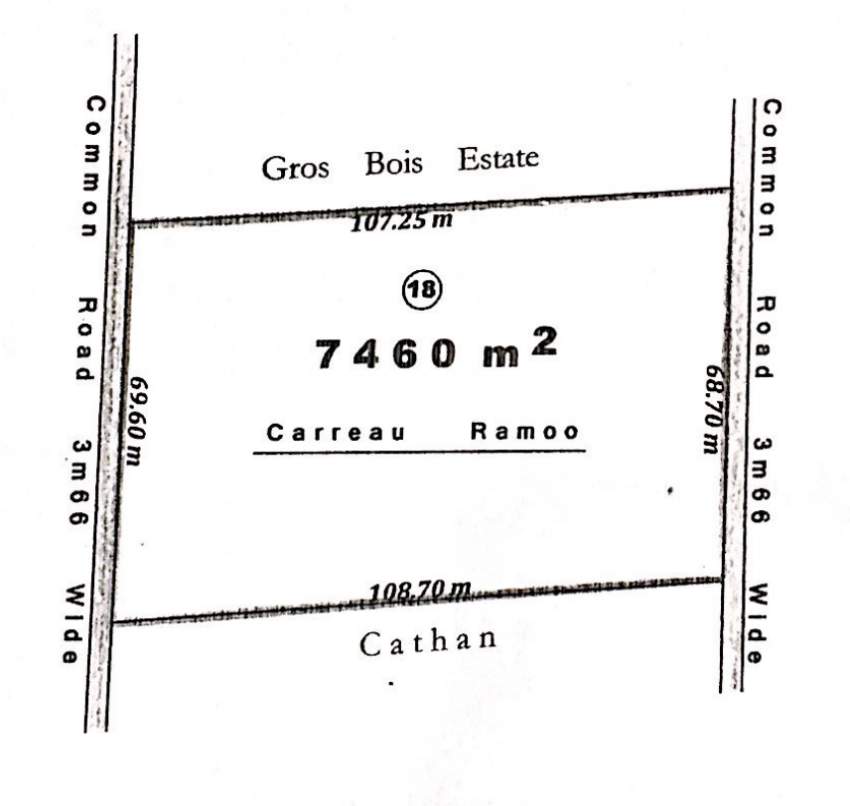 Land for Sale - 176 Perches - Mare D'albert - 0 - Land  on Aster Vender