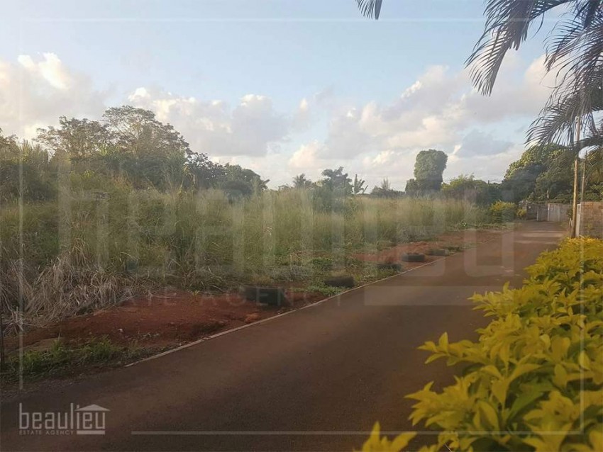2 plots of residential lands in Belle Vue Maurel - 1 - Land  on Aster Vender