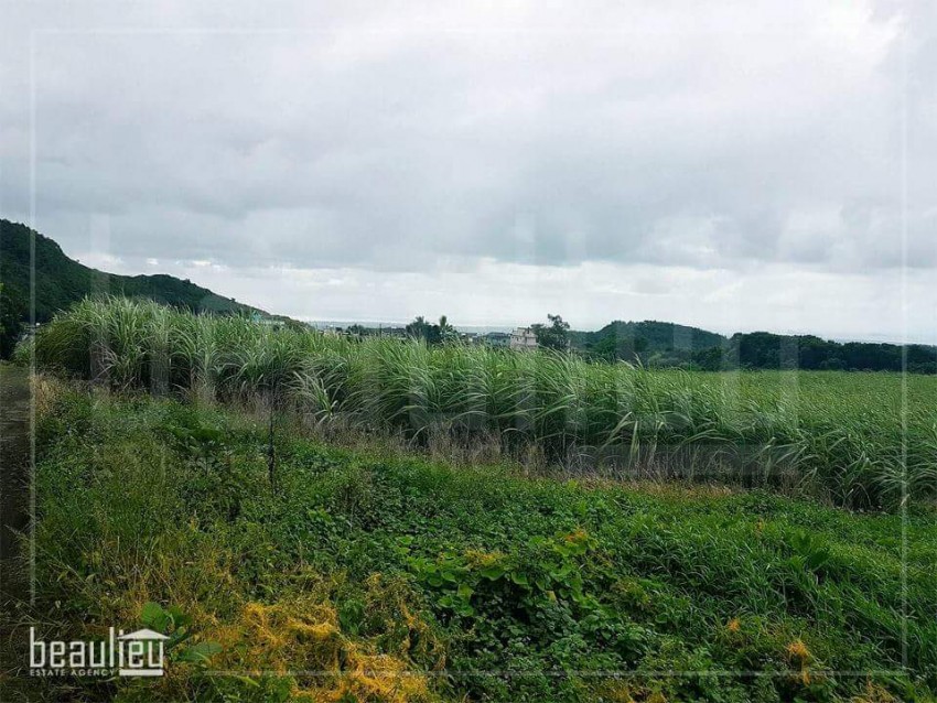 1 arpent agricultural land in Nouvelle Découverte - 2 - Land  on Aster Vender