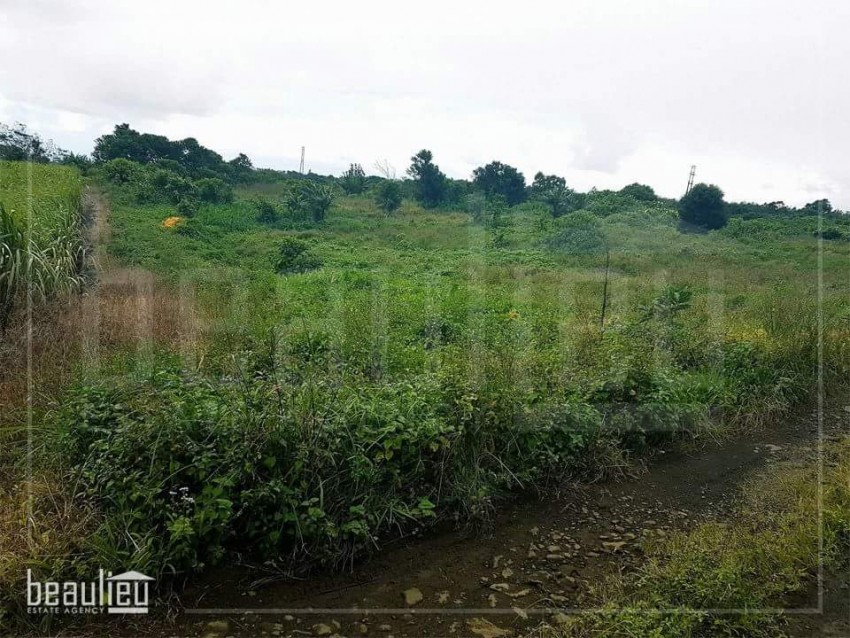 1 arpent agricultural land in Nouvelle Découverte - 1 - Land  on Aster Vender