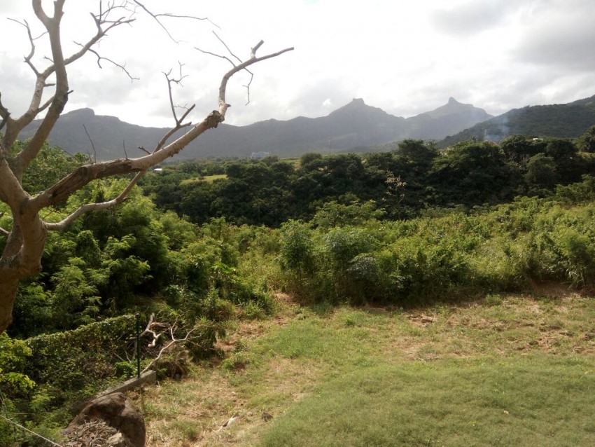 Looking for a house at Rs 1500000. Send your offer. - 0 - House  on Aster Vender