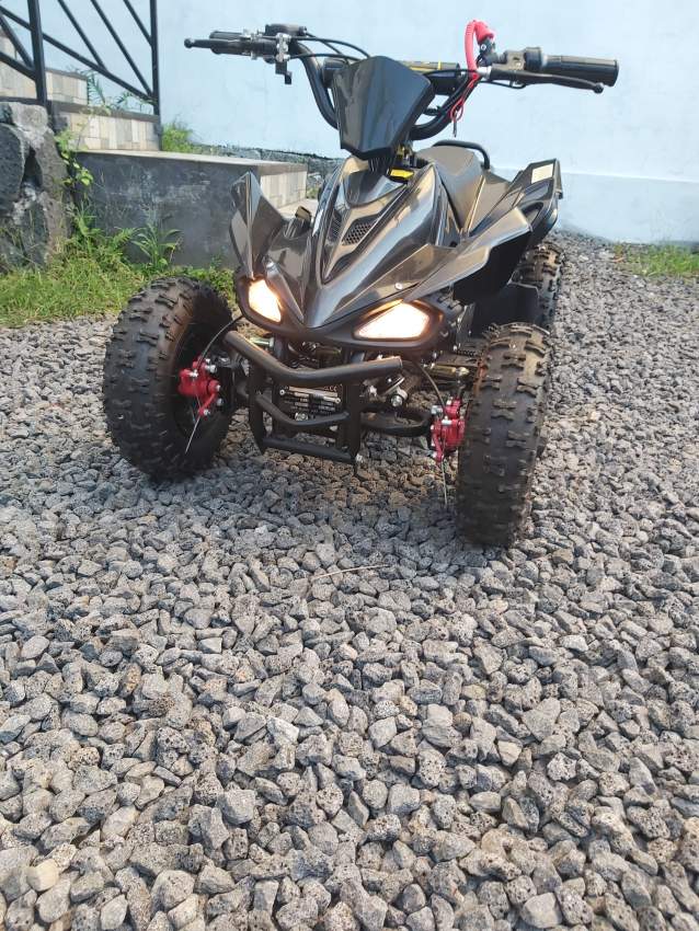 Mini quad on Aster Vender