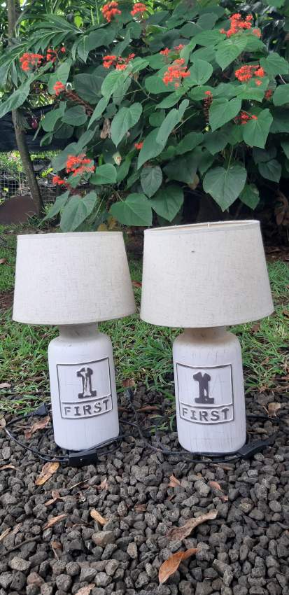 Lot 2 lampes on Aster Vender