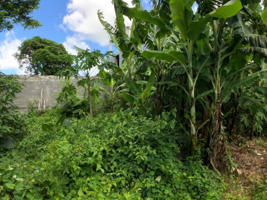 TERRAIN RÉSIDENTIEL - 7 PERCHES -  Bel Air - 6 - Land  on Aster Vender