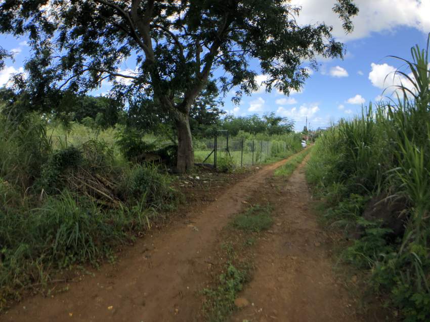 TERRAIN RÉSIDENTIEL - 7.6 PERCHES - Centre de Flacq - 2 - Land  on Aster Vender