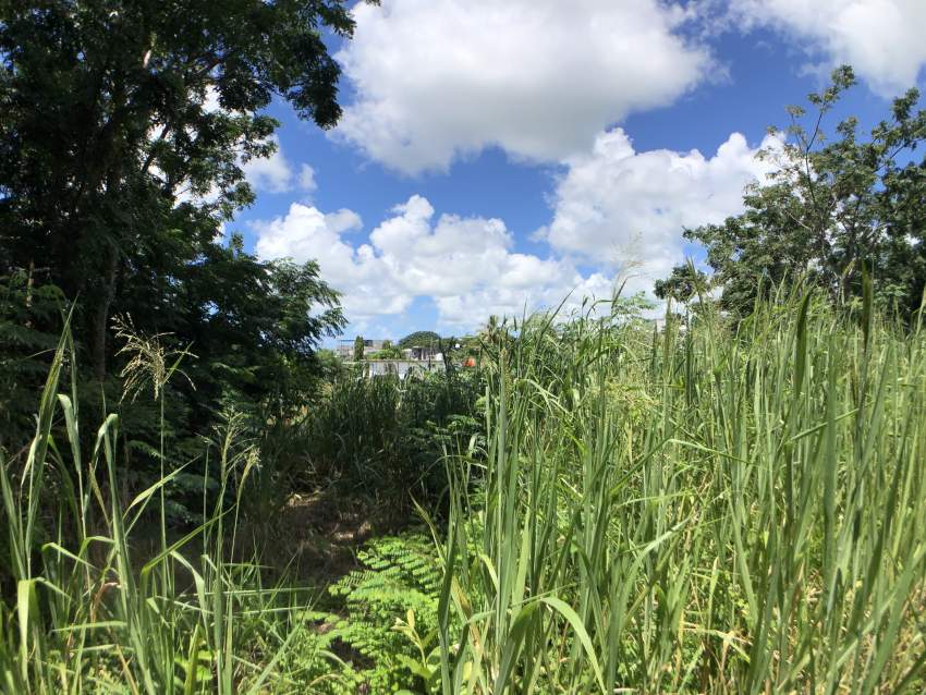 TERRAIN RÉSIDENTIEL - 7.6 PERCHES - Centre de Flacq - 4 - Land  on Aster Vender