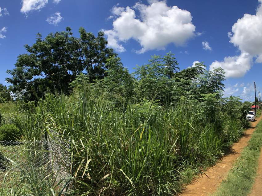 TERRAIN RÉSIDENTIEL - 7.6 PERCHES - Centre de Flacq - 6 - Land  on Aster Vender