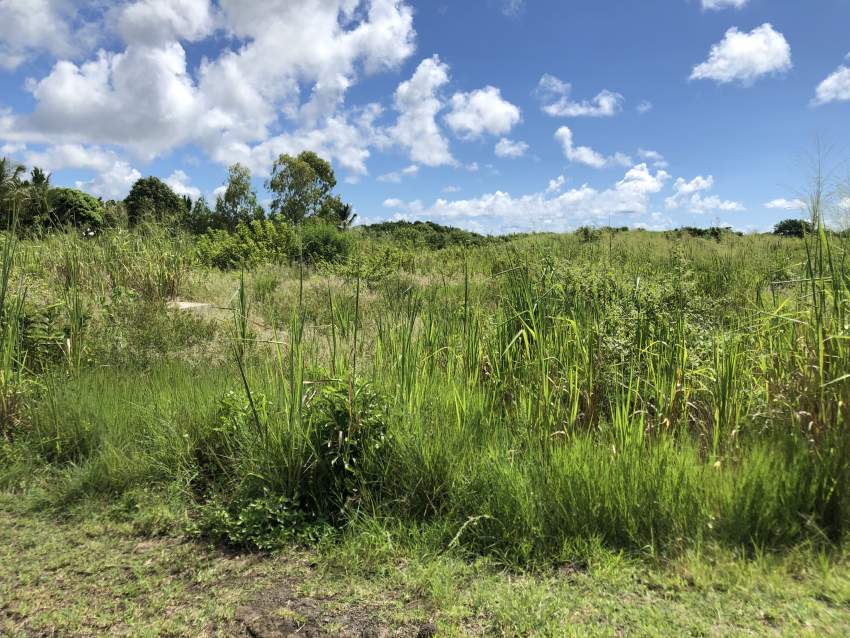 TERRAIN RÉSIDENTIEL - 42.6 PERCHES - Bramsthan - 4 - Land  on Aster Vender