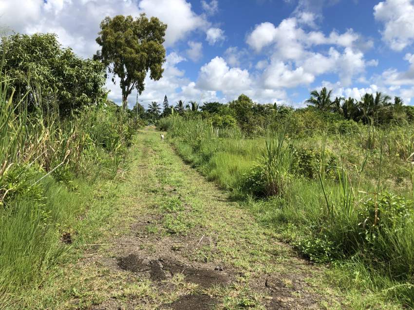 TERRAIN RÉSIDENTIEL - 42.6 PERCHES - Bramsthan - 3 - Land  on Aster Vender