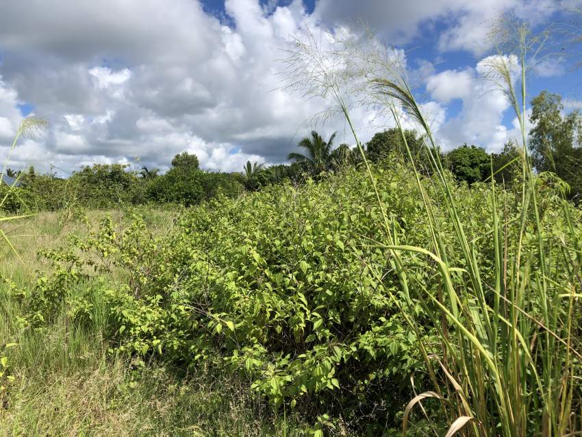 TERRAIN RÉSIDENTIEL - 42.6 PERCHES - Bramsthan - 1 - Land  on Aster Vender