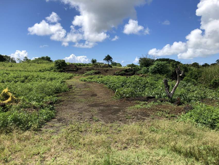 TERRAIN RÉSIDENTIEL - 42.6 PERCHES - Bramsthan - 5 - Land  on Aster Vender