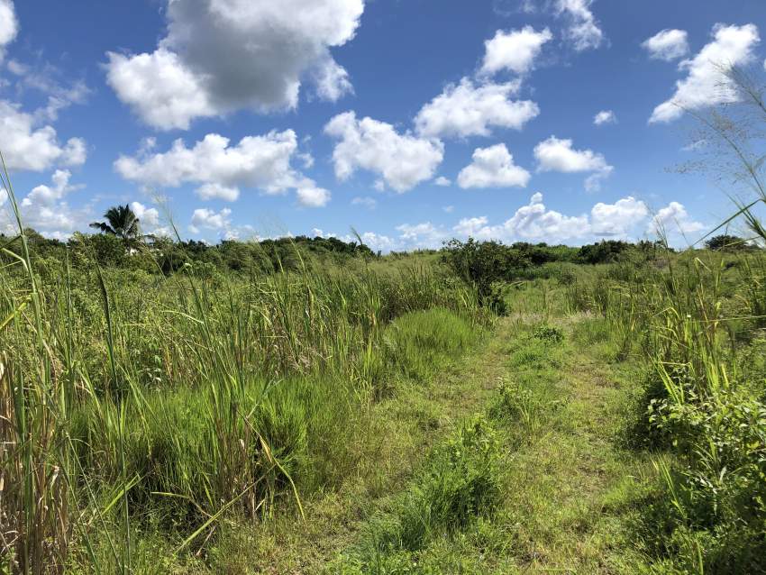 TERRAIN RÉSIDENTIEL - 42.6 PERCHES - Bramsthan - 2 - Land  on Aster Vender