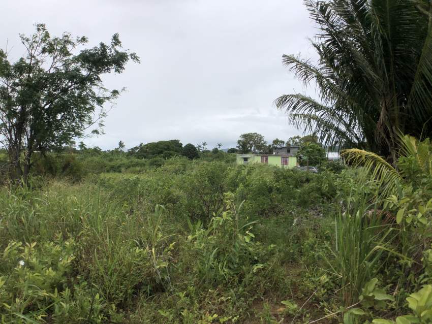 TERRAIN RÉSIDENTIEL - 11.5 PERCHES - BRAMSTHAN - 2 - Land  on Aster Vender