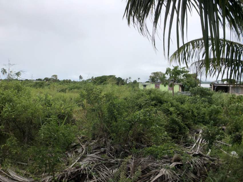 TERRAIN RÉSIDENTIEL - 11.5 PERCHES - BRAMSTHAN - 5 - Land  on Aster Vender