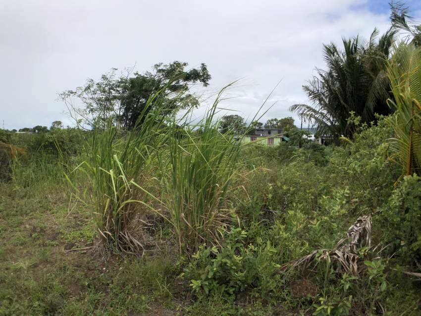 TERRAIN RÉSIDENTIEL - 11.5 PERCHES - BRAMSTHAN - 4 - Land  on Aster Vender