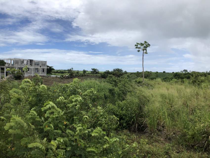 TERRAIN RÉSIDENTIEL - 11.5 PERCHES - BRAMSTHAN - 3 - Land  on Aster Vender