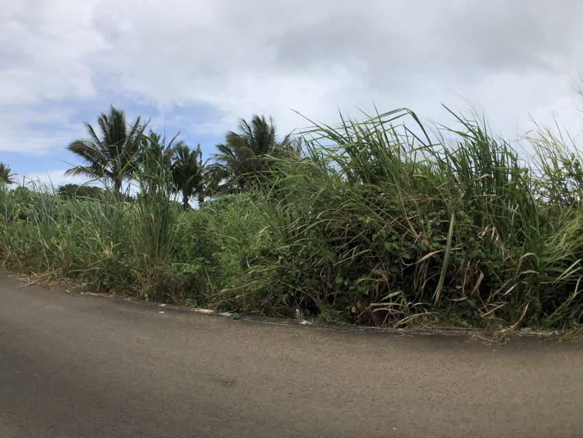 TERRAIN RÉSIDENTIEL - 11.5 PERCHES - BRAMSTHAN - 7 - Land  on Aster Vender