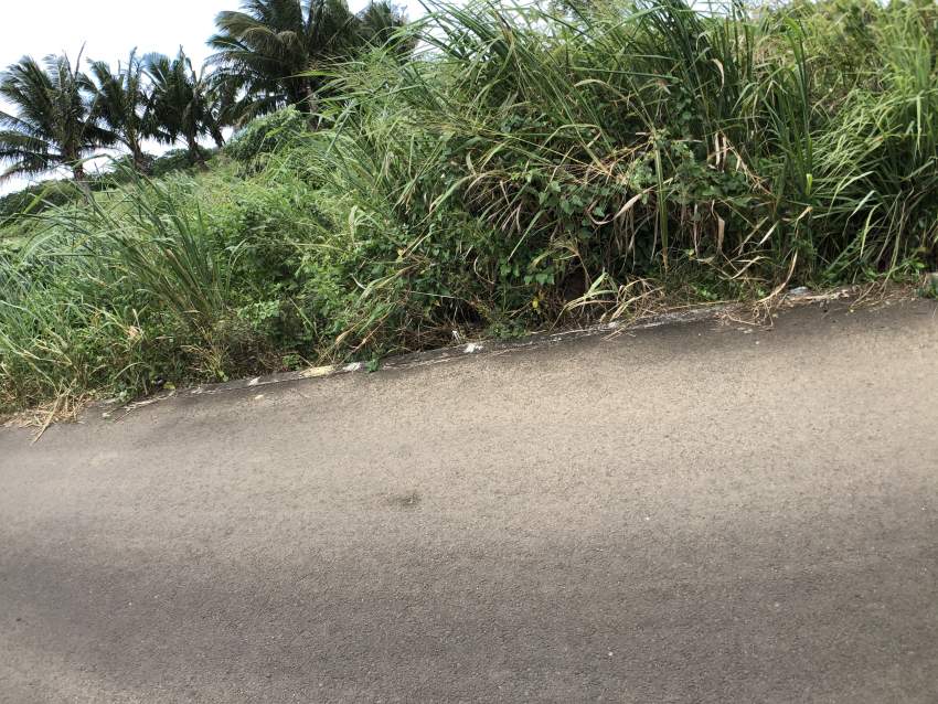 TERRAIN RÉSIDENTIEL - 11.5 PERCHES - BRAMSTHAN - 6 - Land  on Aster Vender