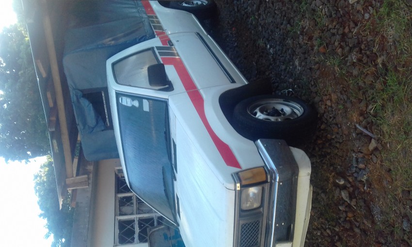 Single cabpick up - 1 - Cargo Van (Delivery Van)  on Aster Vender