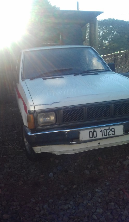 Single cabpick up - 0 - Cargo Van (Delivery Van)  on Aster Vender