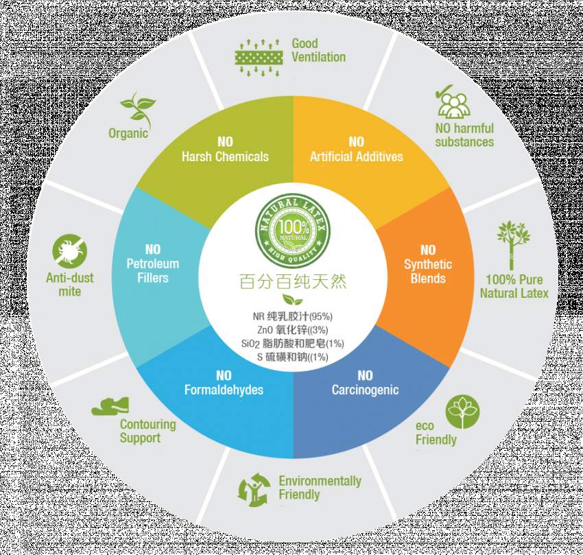 38% DISCOUNT:100% NATURAL ORGANIC Thailand LATEX PILLOW - 7 - Kitchen appliances  on Aster Vender