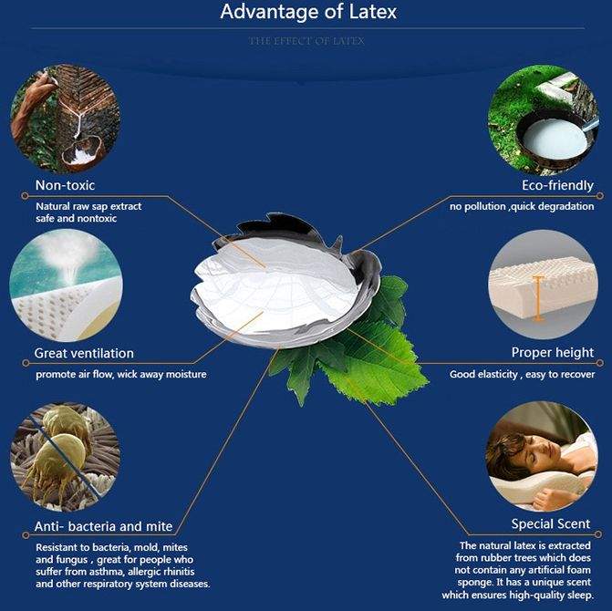 38% DISCOUNT:100% NATURAL ORGANIC Thailand LATEX PILLOW - 2 - Kitchen appliances  on Aster Vender