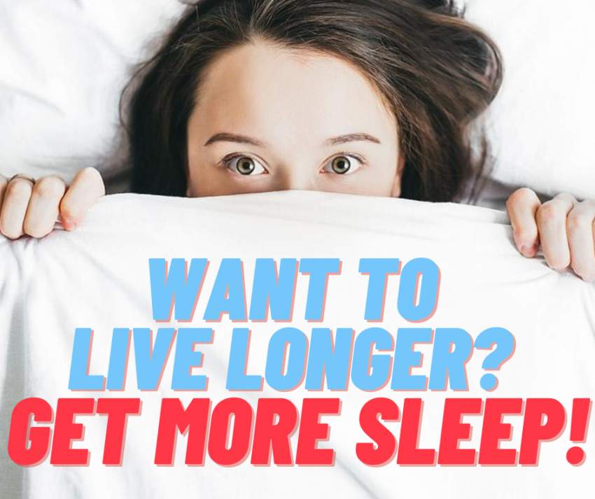 38% DISCOUNT:100% NATURAL ORGANIC Thailand LATEX PILLOW - 4 - Kitchen appliances  on Aster Vender