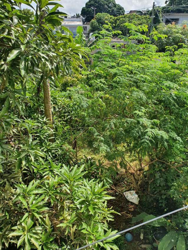 Land with House  for sale in Chemin-Grenier.  2 min from main road.  - 0 - House  on Aster Vender