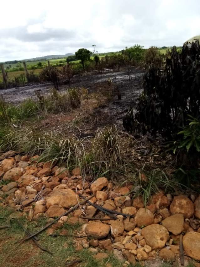 Pamplemousse terrain agricole  - 0 - Land  on Aster Vender