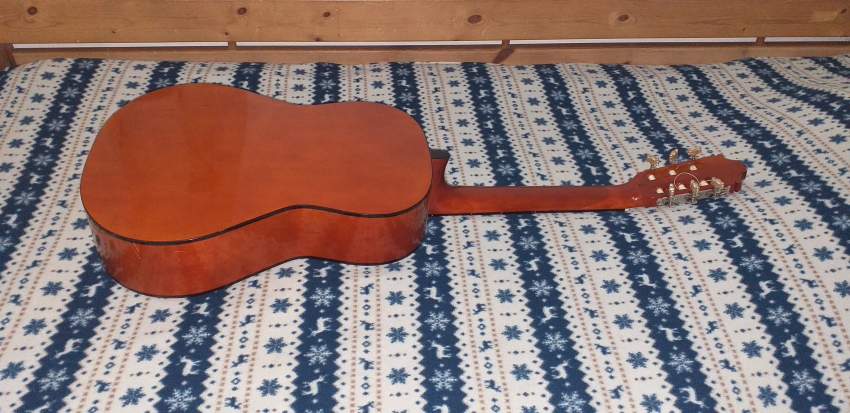 Guitar on Aster Vender