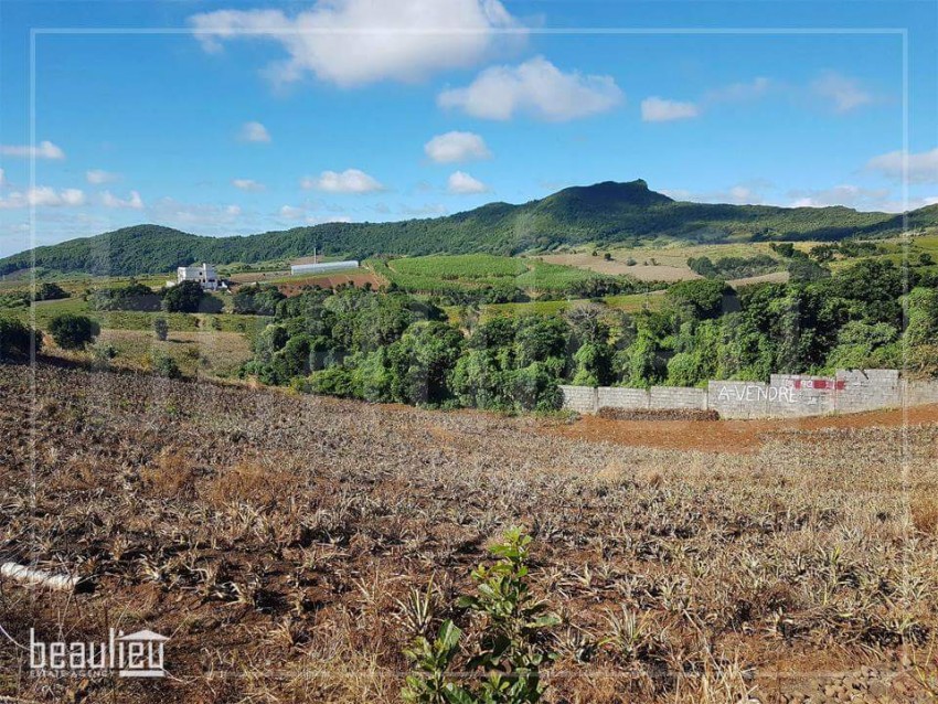 Residential land of 16 Ps at Les Mariannes - 4 - Land  on Aster Vender