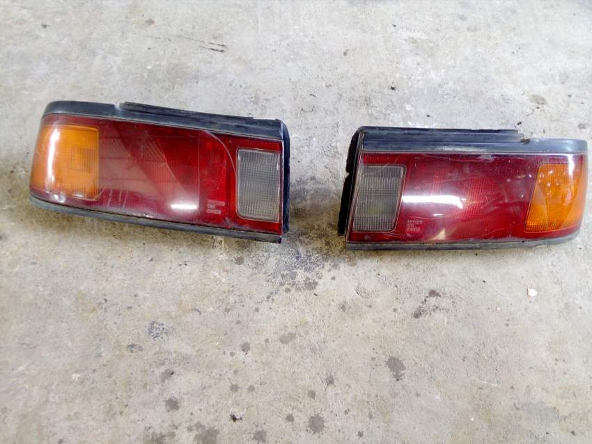 Lentenne on Aster Vender