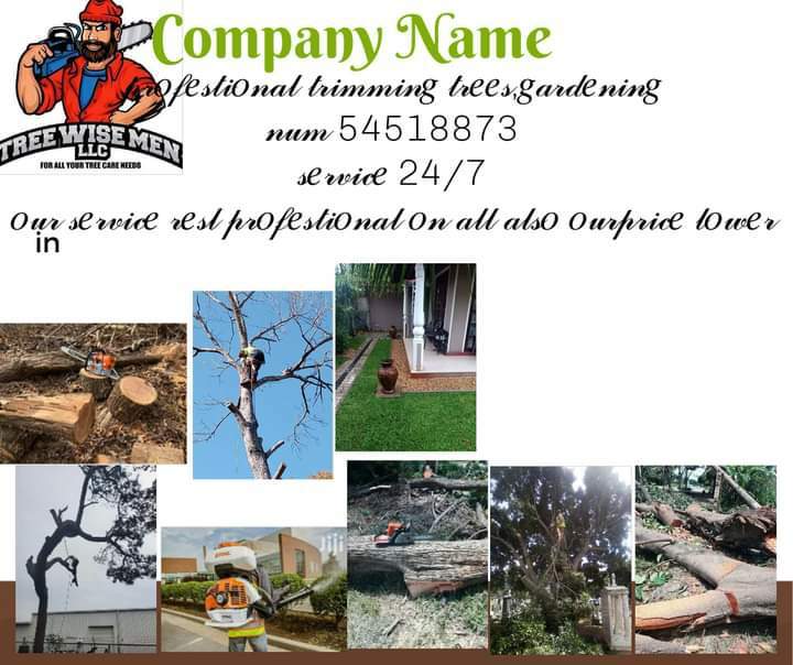 Professional trimming for trees and gardening - 0 - Cleaning services  on Aster Vender